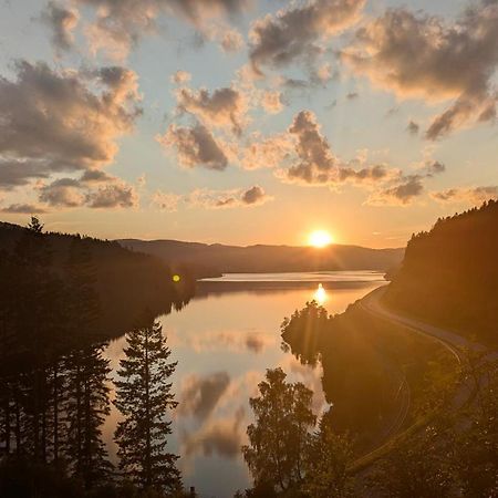 فندق Hochschwarzwald-Hof سشلوشسي المظهر الخارجي الصورة