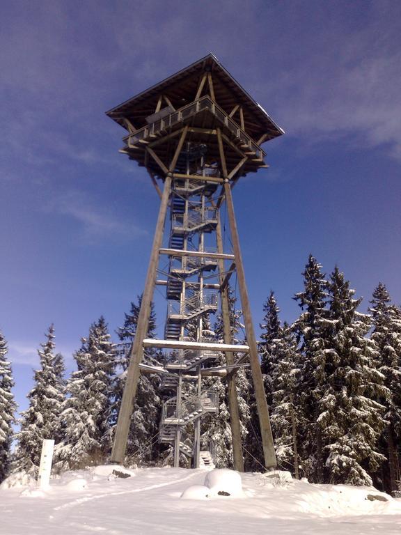 فندق Hochschwarzwald-Hof سشلوشسي المظهر الخارجي الصورة