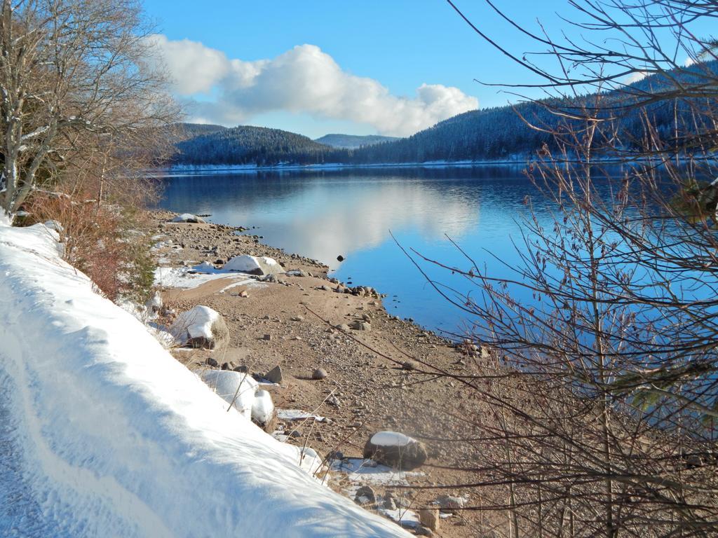 فندق Hochschwarzwald-Hof سشلوشسي المظهر الخارجي الصورة