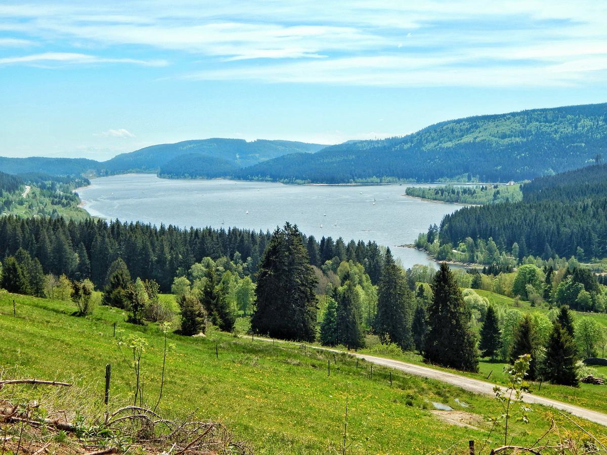 فندق Hochschwarzwald-Hof سشلوشسي المظهر الخارجي الصورة